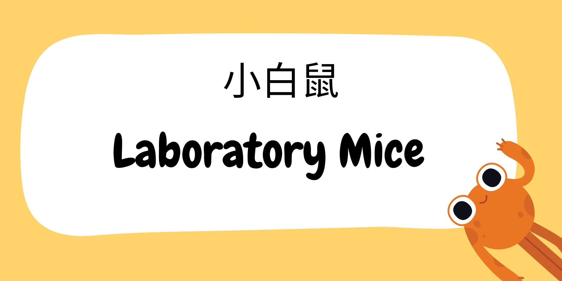 Laboratory Mice 小白鼠